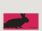 Osterkarte Osterhase auf pink Vorderseite Thumb
